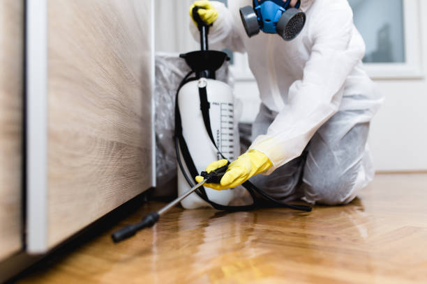 Best Pest Control for Restaurants  in Oyster Creek, TX