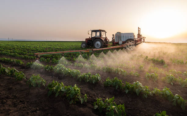Best Cockroach Control Services  in Oyster Creek, TX