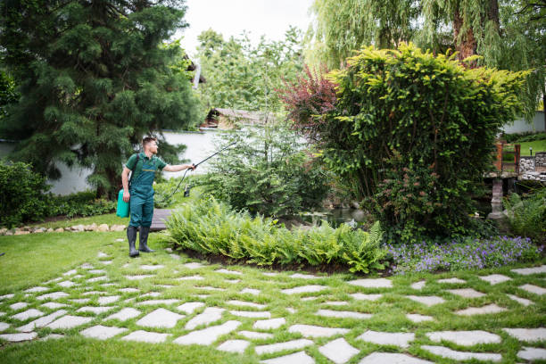 Best Mosquito Control Services  in Oyster Creek, TX