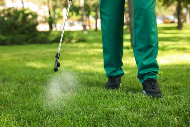 Best Flea Control Services  in Oyster Creek, TX