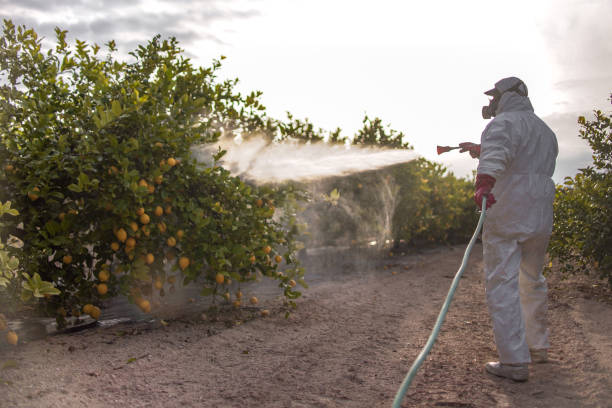 Wildlife Control Services in Oyster Creek, TX